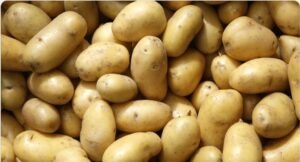 batata-inglesa-extra