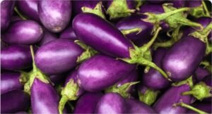 berinjela