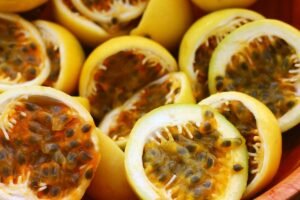 como-plantar-maracuja