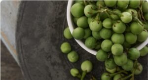 jurubeba-em-conserva