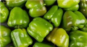 pimentao-verde