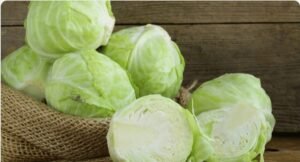 repolho-branco