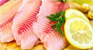 tilapia